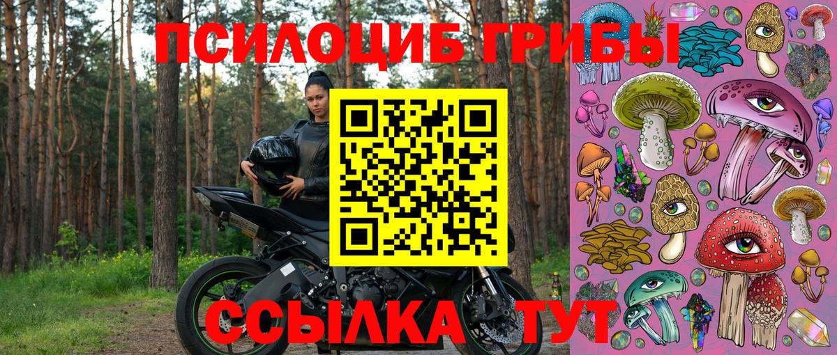 Галлюциногенные грибы прущие грибы Сарапул